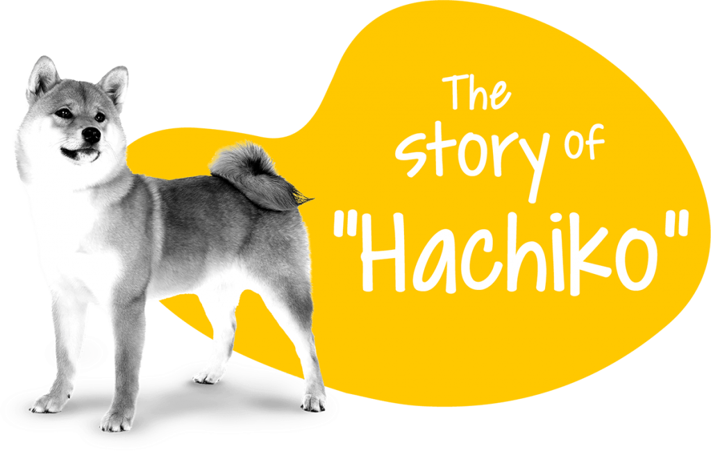 About-Hachiko
